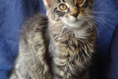 Candace Flynn_15W (2)