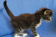 Bonnie Hopps_04W (2)