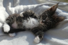 Bonnie Hopps_07W (3)