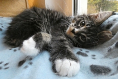 Bonnie Hopps_10W (2)