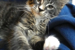 Bonnie Hopps_14W (1)